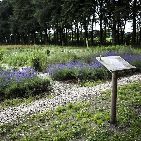 50|50 Belmont 3* Эде